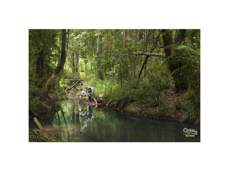 54 Lapwing Circuit, Beerwah QLD 4519