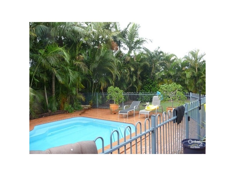 7 Teasel Court, Mountain Creek QLD 4557