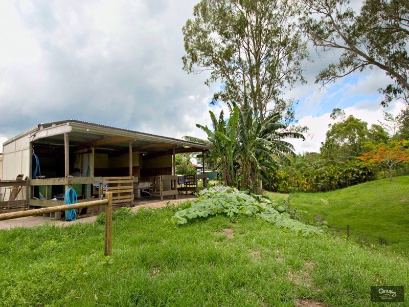 14 Sugar Gum Drive, Mooloolah Valley QLD 4553