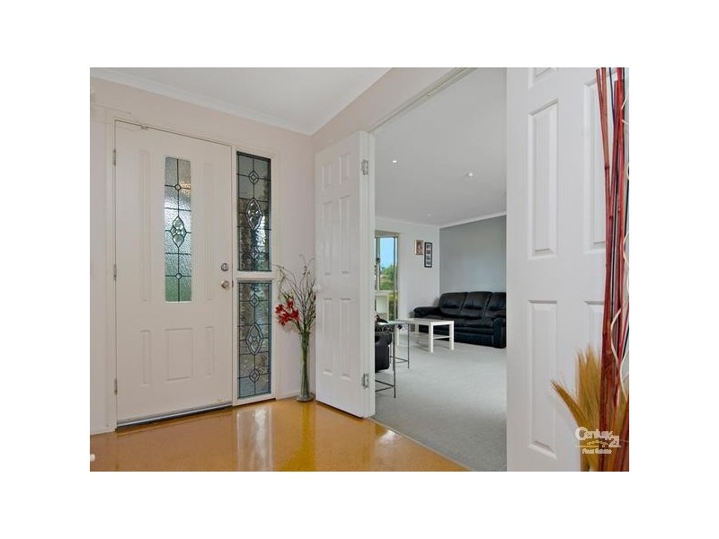 9 Teasel Court, Mountain Creek QLD 4557