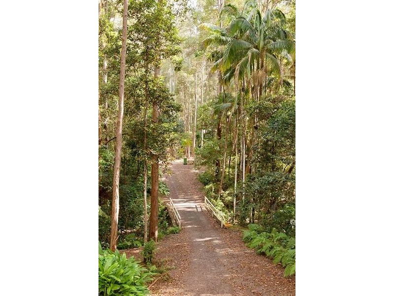 127 Main Creek Road, Tanawha QLD 4556