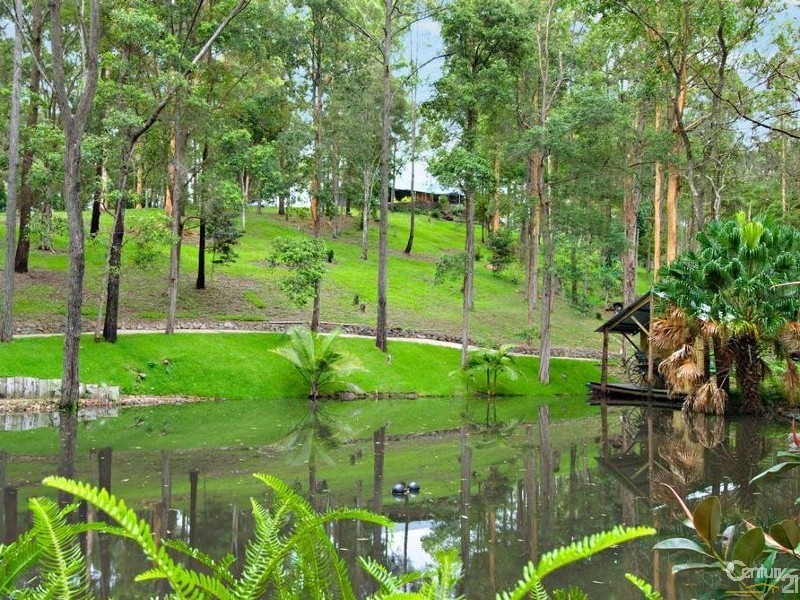 550 Wilson Road, Tanawha QLD 4556