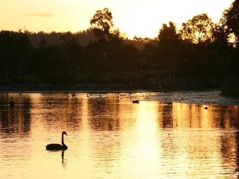 13  Fitzwilliam Drive, Sippy Downs QLD 4556