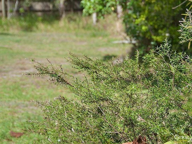 12 Boobook Court, Buderim QLD 4556