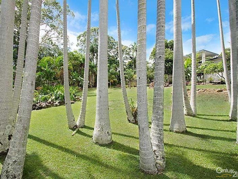 6B Park Lane, Buderim QLD 4556