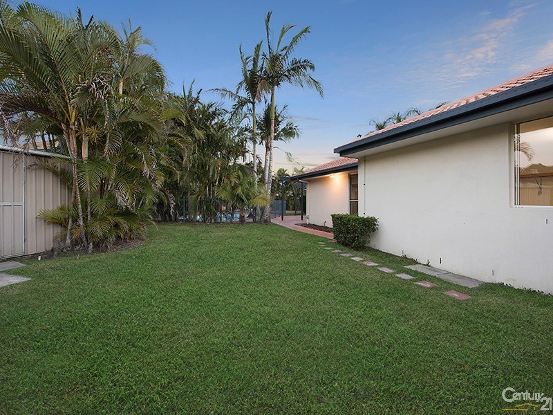 7 Teasel Court, Mountain Creek QLD 4557