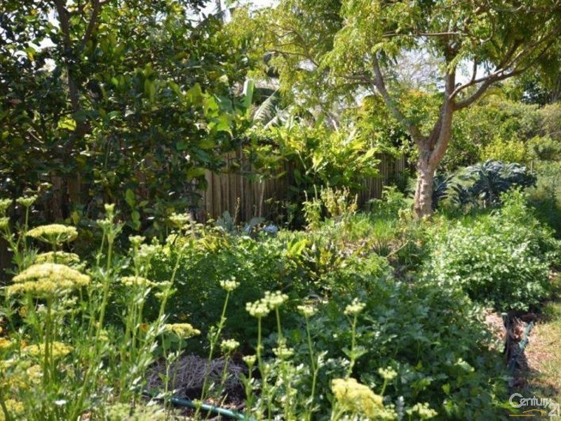 21 Clithero Avenue, Buderim QLD 4556