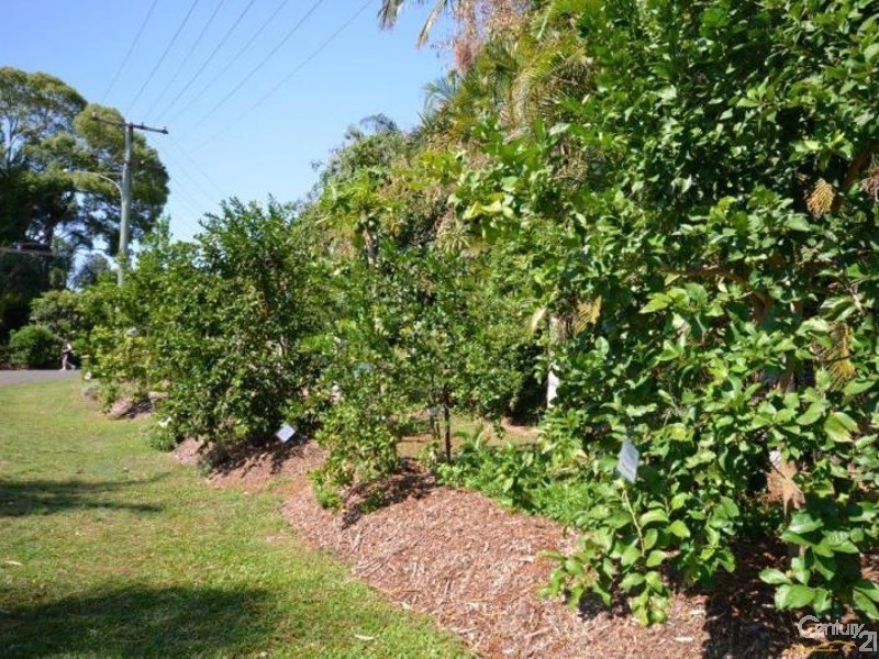 21 Clithero Avenue, Buderim QLD 4556