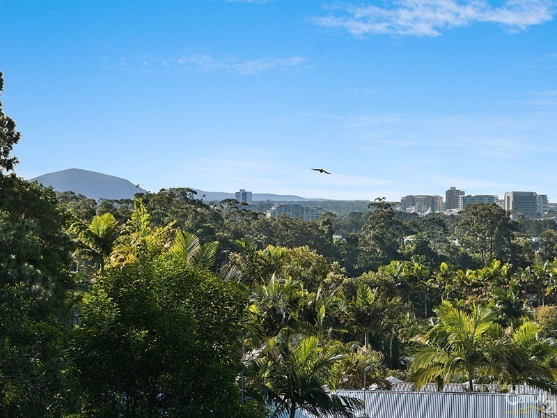 16 Pheasant Street, Buderim QLD 4556