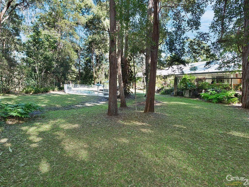 15 Eudlo Flats Road, Diddillibah QLD 4559