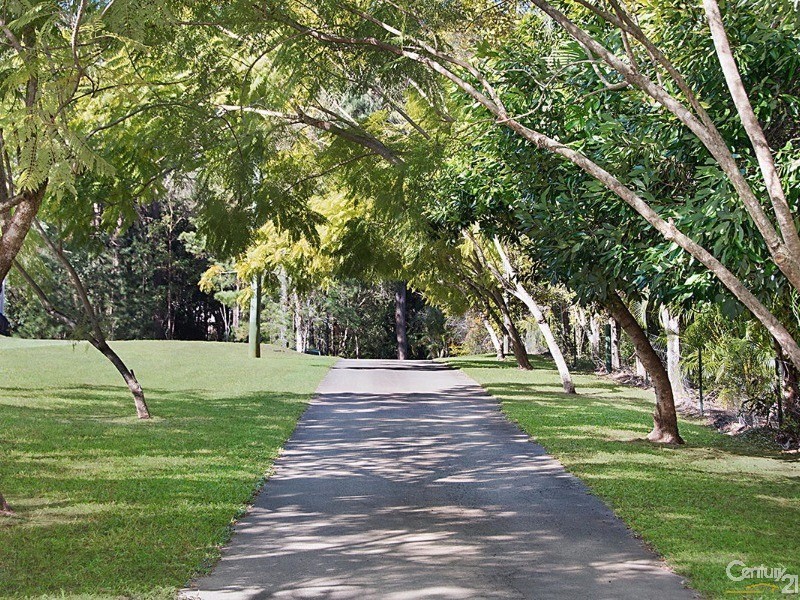 15 Eudlo Flats Road, Diddillibah QLD 4559