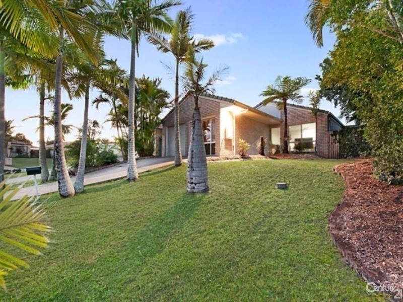 3 Pimelea Court, Mountain Creek QLD 4557