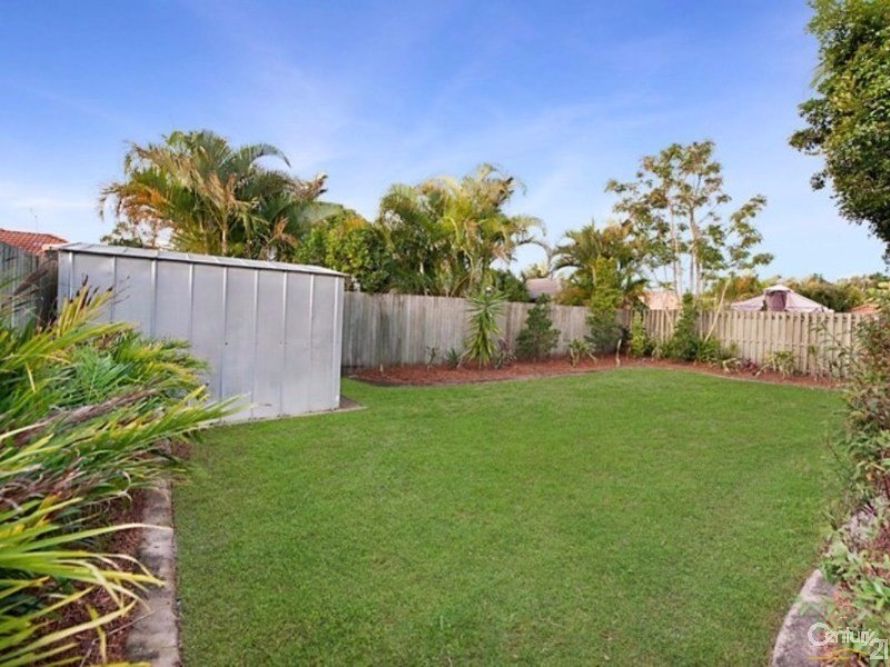 3 Pimelea Court, Mountain Creek QLD 4557