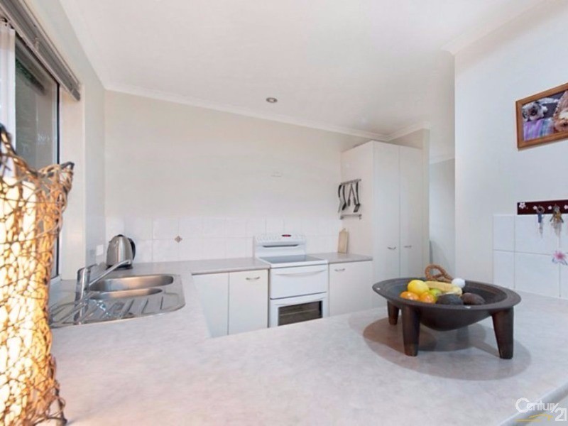 3 Pimelea Court, Mountain Creek QLD 4557