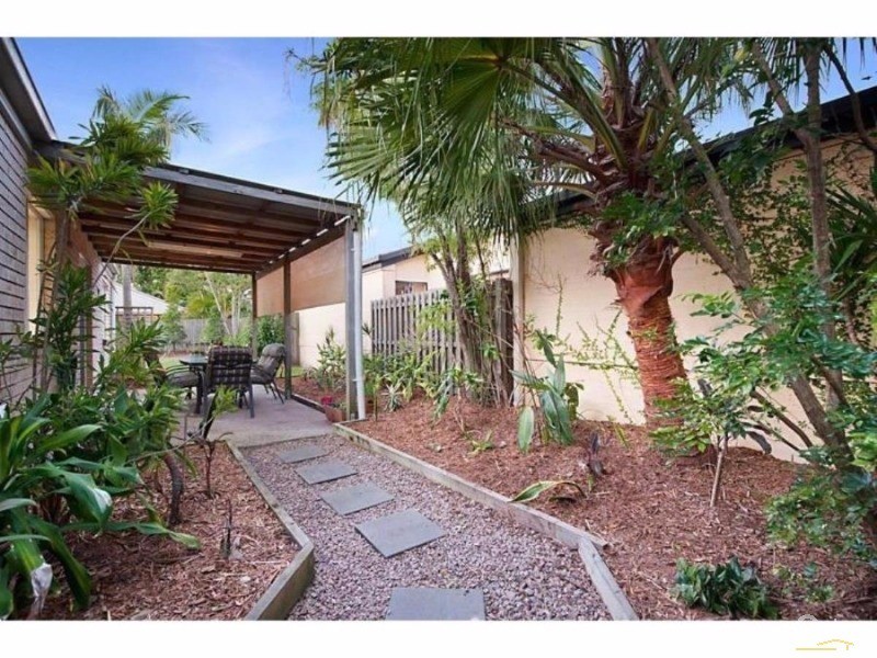 3 Pimelea Court, Mountain Creek QLD 4557
