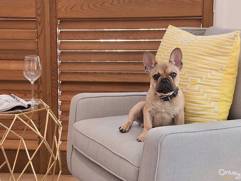 11 Connors Close, Buderim QLD 4556