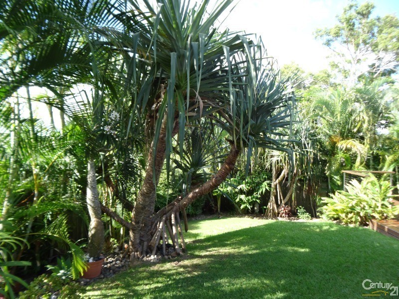 36 Illuka Street, Buderim QLD 4556