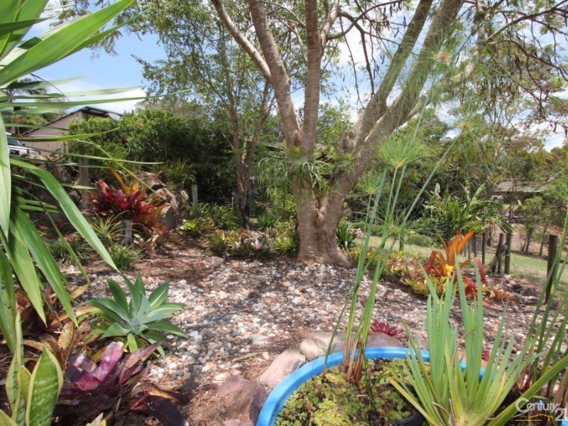 11 Vivian Street, Highworth QLD 4560