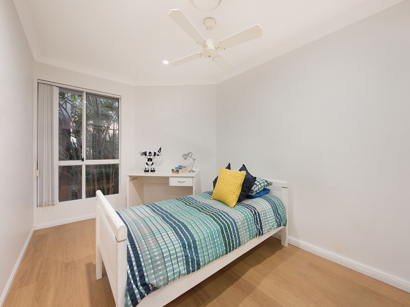 19  Jingellic Drive, Buderim QLD 4556