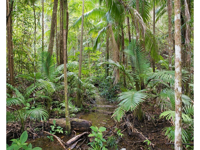 45 Quiet Valley Crescent, Buderim QLD 4556