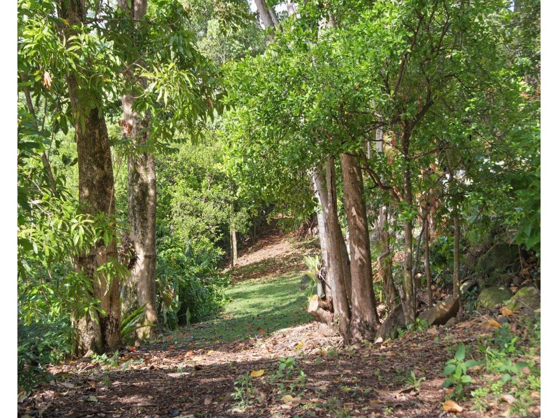 8A  Carol Court, Buderim QLD 4556