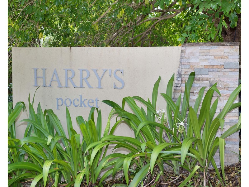 58 Martins Creek Road, Buderim QLD 4556