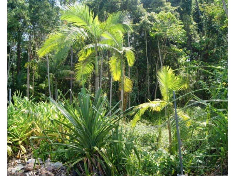 58B Toral Drive, Buderim QLD 4556