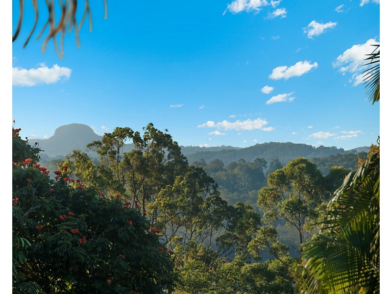 5 Jarrah Road, Buderim QLD 4556