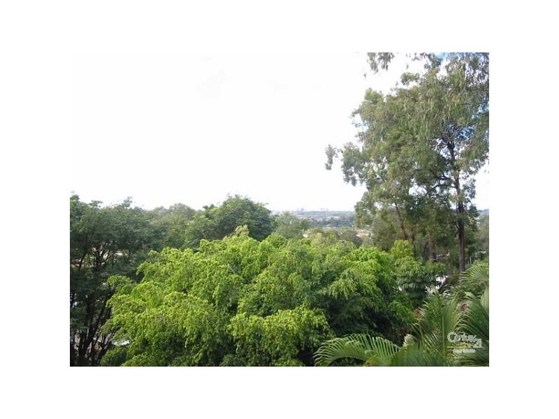 26 Sylvan Street, Buderim QLD 4556