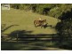 124 Pencil Creek Road, Obi Obi QLD 4574