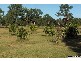 13 Smailes Road, North Maclean QLD 4280