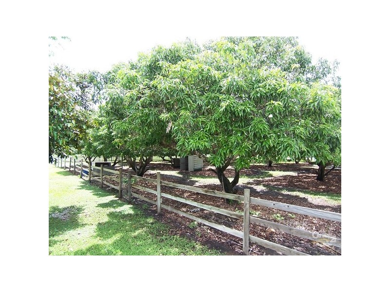 Alligator Creek QLD 4816