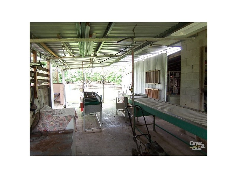 Alligator Creek QLD 4816