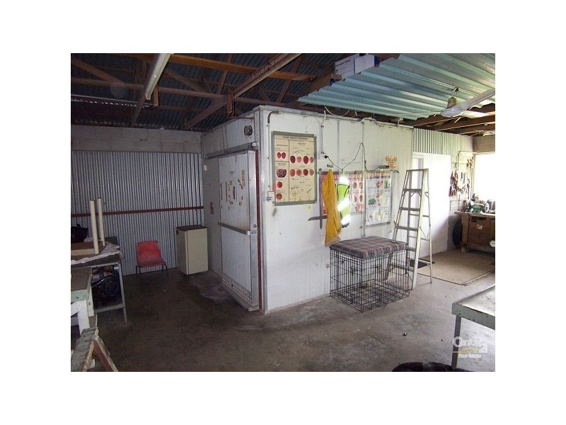 Alligator Creek QLD 4816