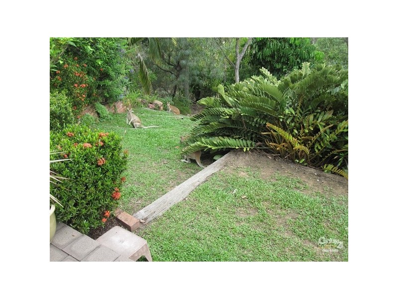 11 DENISON COURT, Toomulla QLD 4816