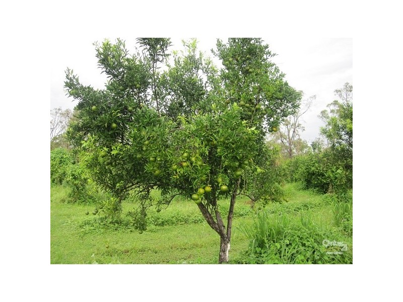 70 KING STREET, Bluewater QLD 4818