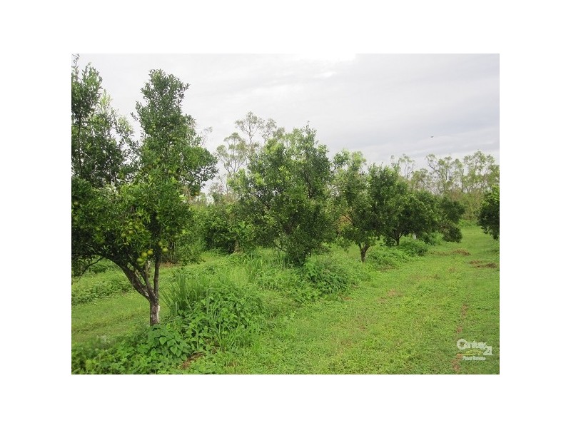 70 KING STREET, Bluewater QLD 4818