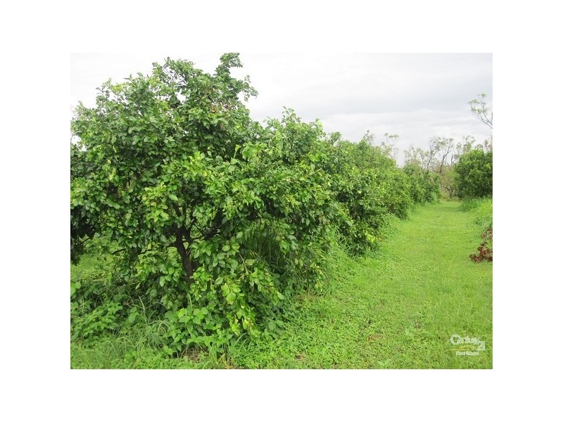 70 KING STREET, Bluewater QLD 4818