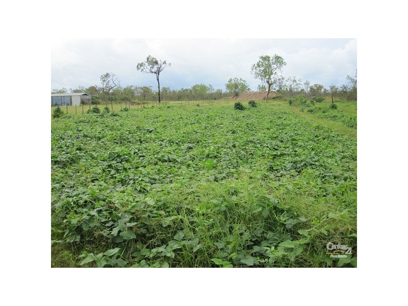 70 KING STREET, Bluewater QLD 4818