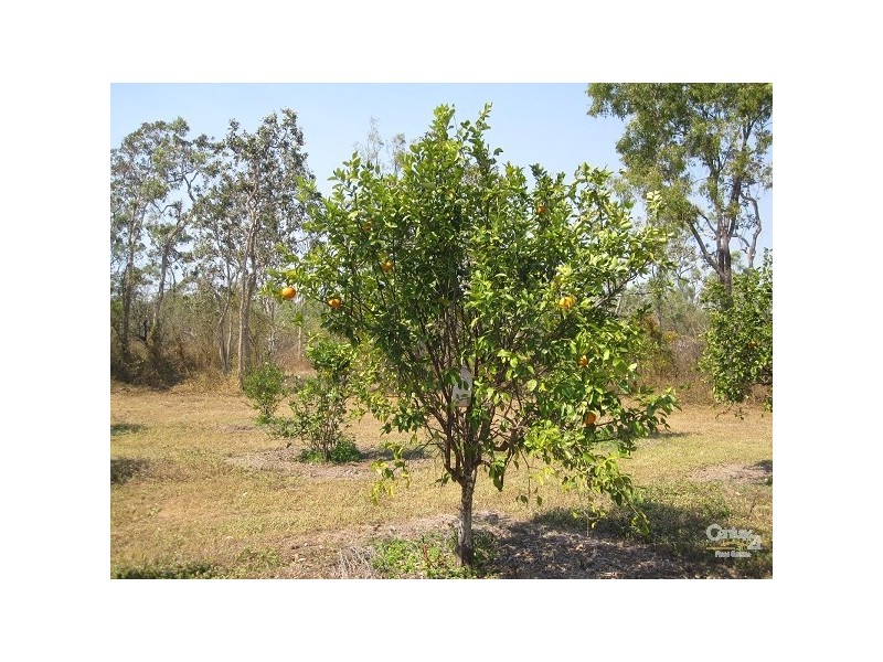 70 KING STREET, Bluewater QLD 4818