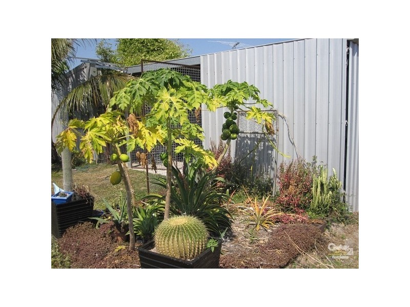 70 KING STREET, Bluewater QLD 4818