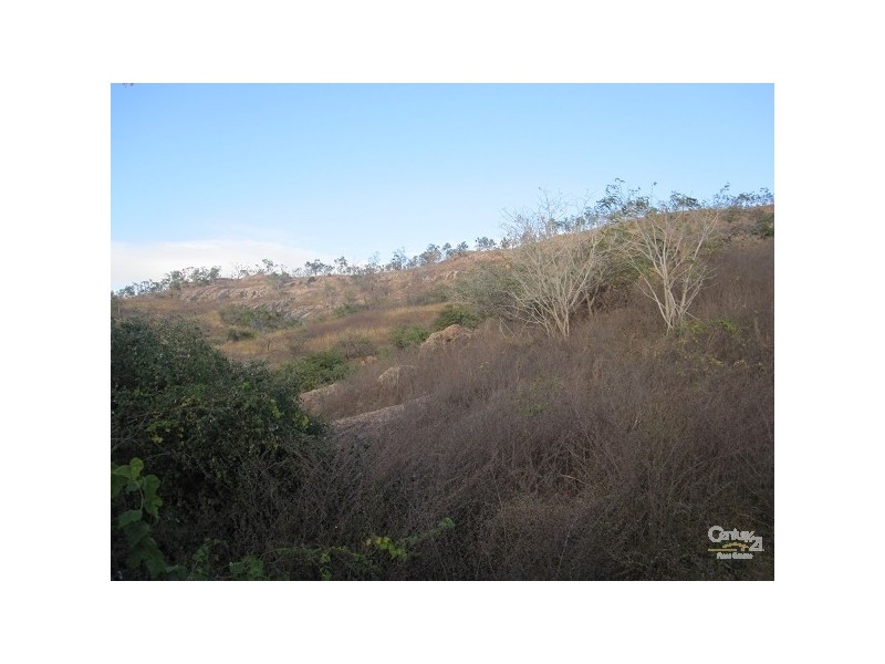 19 COPE STREET, Stuart QLD 4811