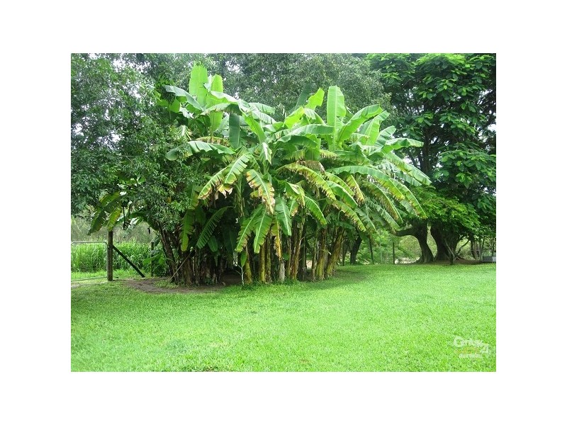 19 BUSHBY CT, Black River QLD 4818