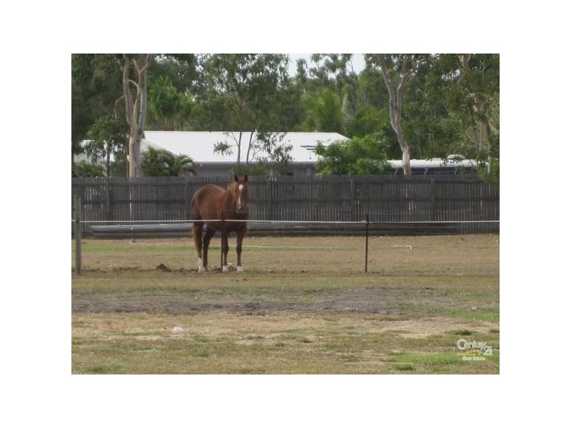 2 NEWELL CT, Mount Low QLD 4818