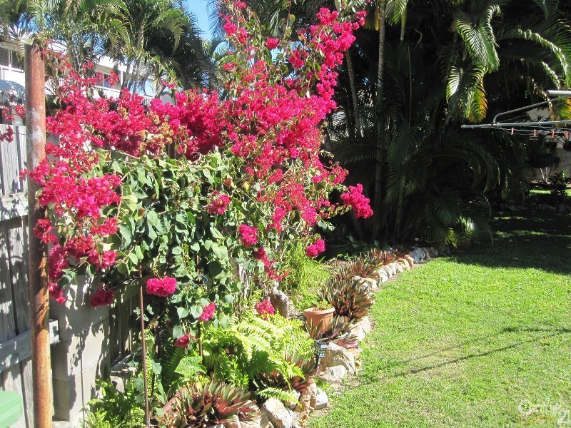 55 LOWTH STREET, Rosslea QLD 4812