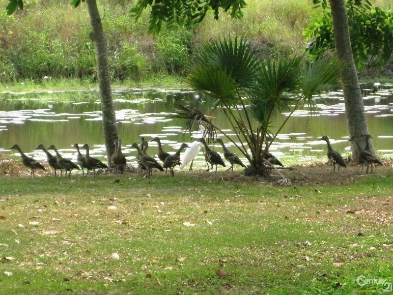 211 PURONO PARKWAY, Yabulu QLD 4818