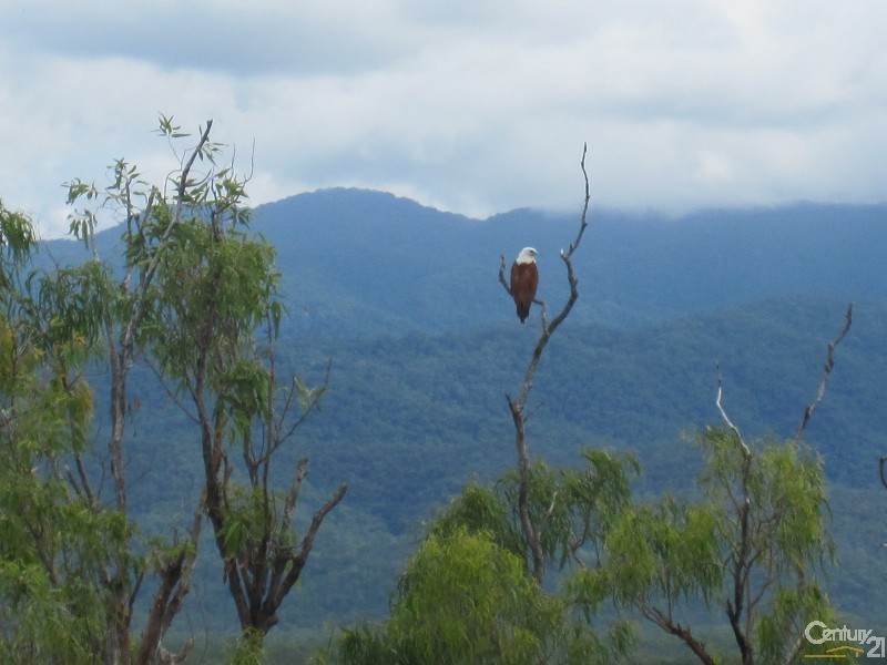 11 DENISON COURT, Toomulla QLD 4816