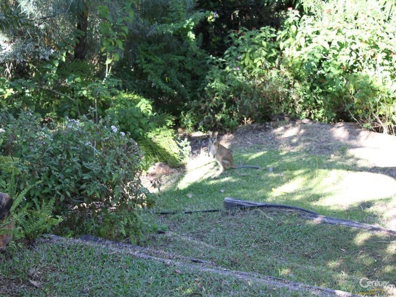 11 DENISON COURT, Toomulla QLD 4816