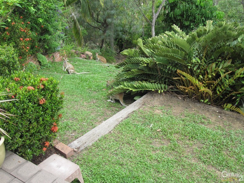 11 DENISON COURT, Toomulla QLD 4816