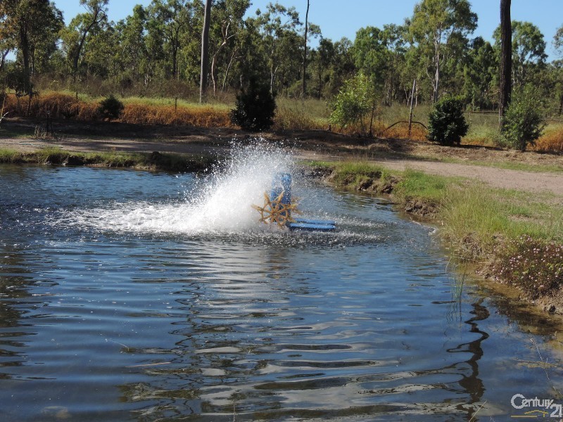 53 ANNAVILLE ROAD, Jensen QLD 4818